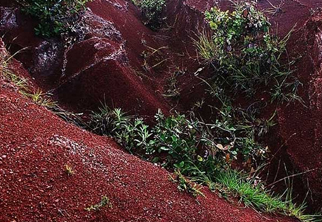 土壤檢測項目二
